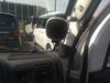It is a picture of the white suzuki carry truck truck in 2012,Sub Photo 15 Stock No.Y062082