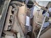 It is a picture of the white suzuki carry truck truck in 2011,Sub Photo 8 Stock No.Y062977